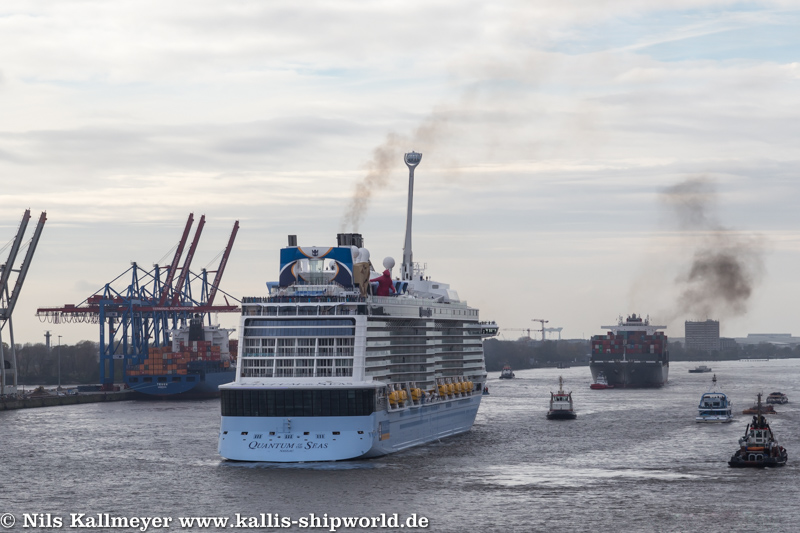 Die Quantum of the Seas kam am 23.10.2014 nach Hamburg.